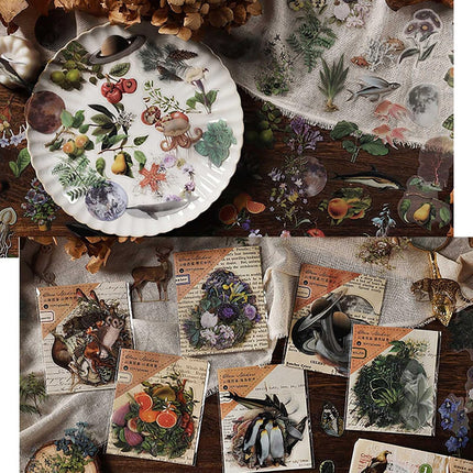 240PCS Waterproof Nature Stickers - Flowers, Leaves & Animals for Journaling, Planners & DIY Crafts