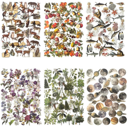 240PCS Waterproof Nature Stickers - Flowers, Leaves & Animals for Journaling, Planners & DIY Crafts