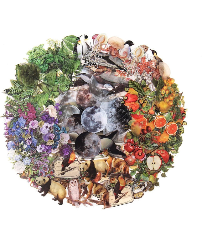 240pcs Nature Themed Transparent Stickers - Vintage Flora & Fauna Decals for Scrapbooking, Journaling, Photo Albums (2-7cm/0.8-2.8in)