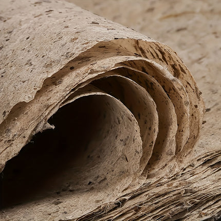 Collection image for: Others