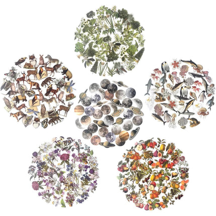 240PCS Waterproof Nature Stickers - Flowers, Leaves & Animals for Journaling, Planners & DIY Crafts