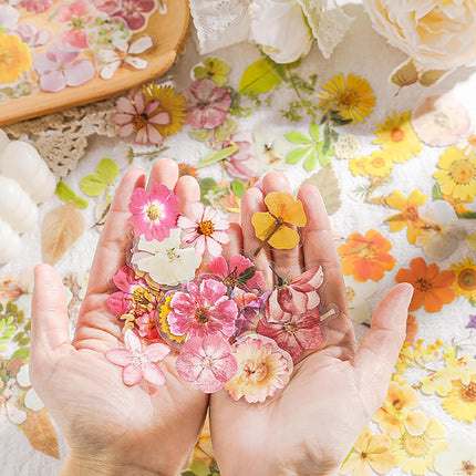 270 Pieces Flower Stickers Set - Waterproof Dried Floral Botanical Journaling Stickers for Scrapbook, Junk Journal, Bullet Journal, Planner & Crafts (1.42 inch/3.6 cm)